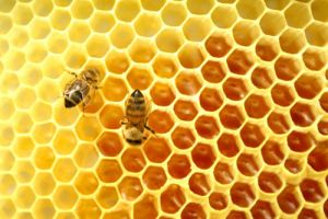  روش‌‌‏هایی برای تشخیص عسل طبیعی 
